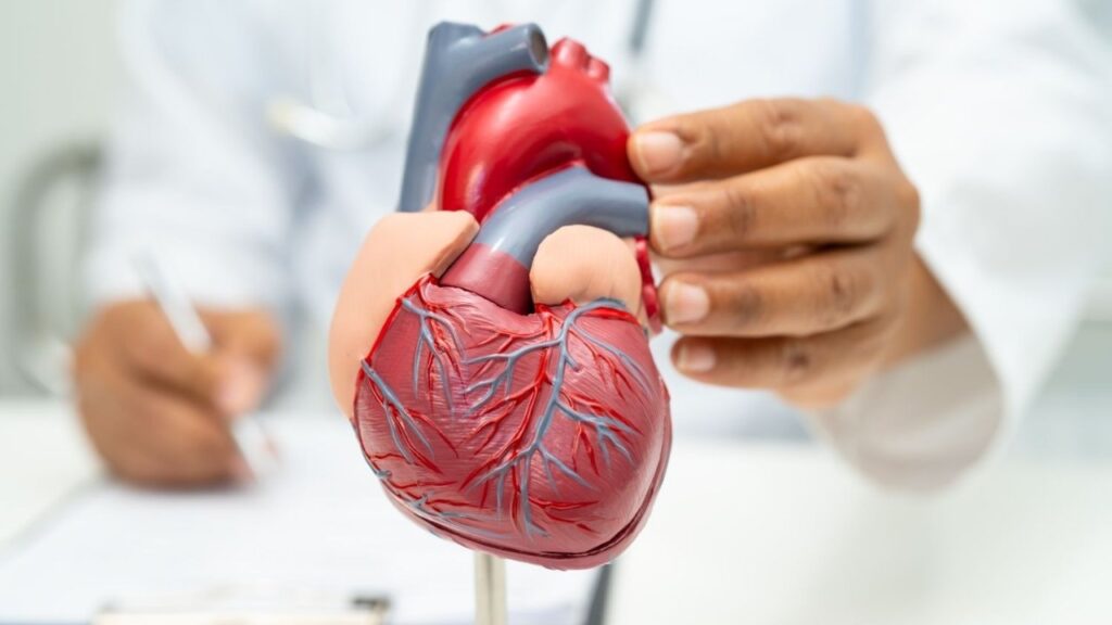 Cardiólogos de EE.UU. publican nuevas guías 2026 para controlar el colesterol